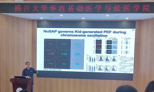 A person standing at a podium giving a presentationDescription automatically generated A person standing at a podium giving a presentationDescription automatically generated